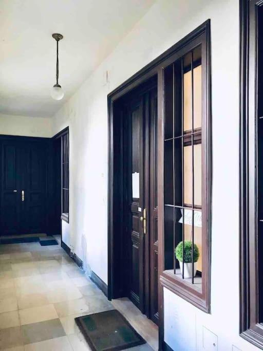 Vienna Luxury New Apartment Center -2. Bezirk エクステリア 写真